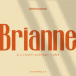 Brianne Font - Featured Image