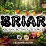 Briar Font - Featured Image