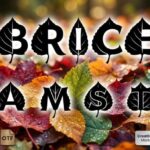 Brice Font - Featured Image
