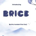Brice Font - Featured Image
