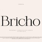 Bricho Font - Featured Image