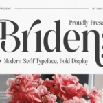 Bridens Font - Featured Image