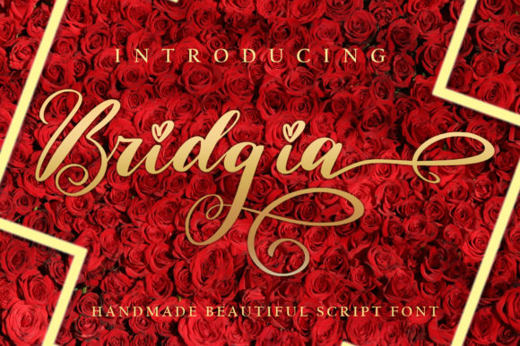 Bridgia Font - Featured Image