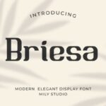 Briesa Font - Featured Image