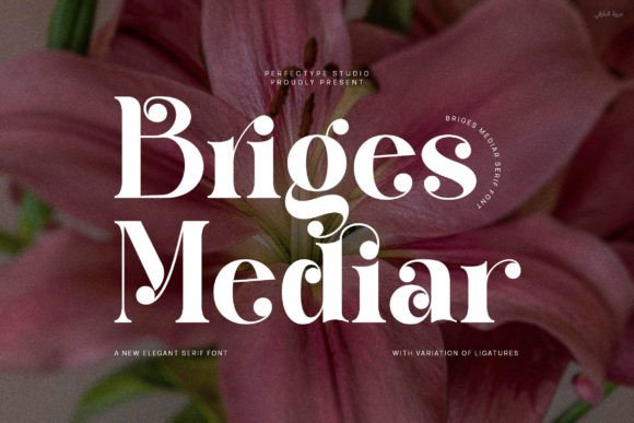 Briges Mediar Font - Featured Image