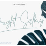 Bright Salkiy Font - Featured Image