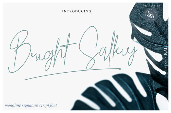 Bright Salkiy Font - Featured Image