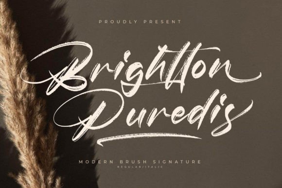 Brightton Puredis Font - Featured Image