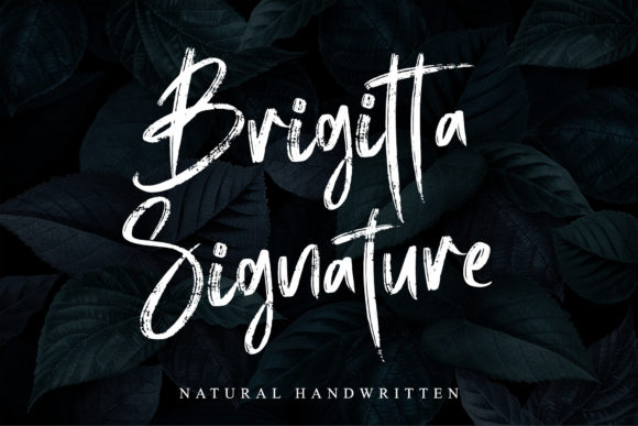 Brigitta Signature Font - Featured Image