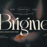 Brigme Font - Featured Image