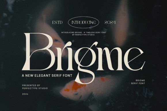 Brigme Font - Featured Image