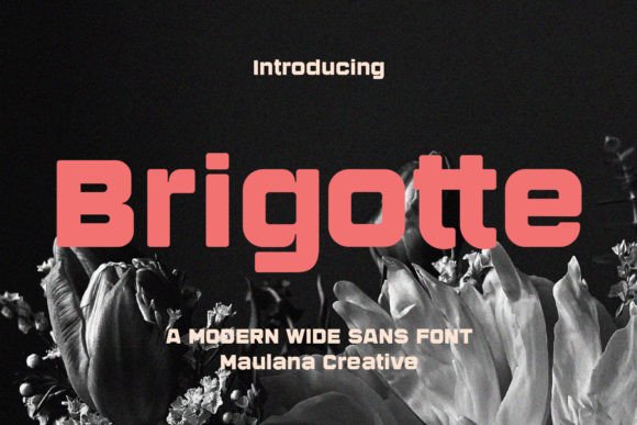 Brigotte Font - Featured Image