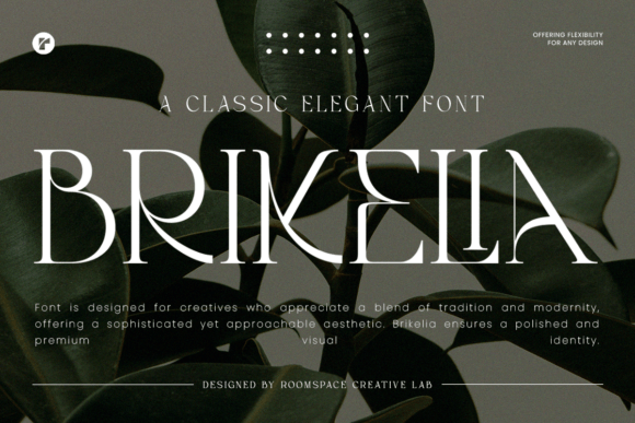 Brikelia Font - Featured Image