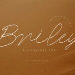 Briley Font - Featured Image