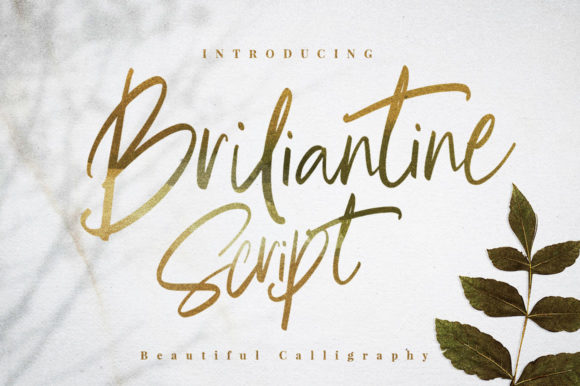 Briliantine Script Font - Featured Image