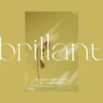 Brillant Font - Featured Image