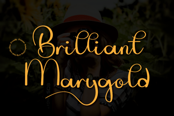 Brilliant Marygold Font - Featured Image