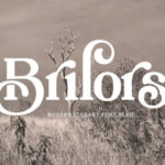 Brilors Font - Featured Image