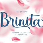Brinita Font - Featured Image