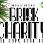 Brisk Charity Font - Featured Image
