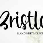 Bristle Font - Featured Image