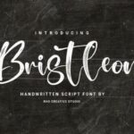 Bristleon Font - Featured Image