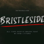 Bristleside Font - Featured Image