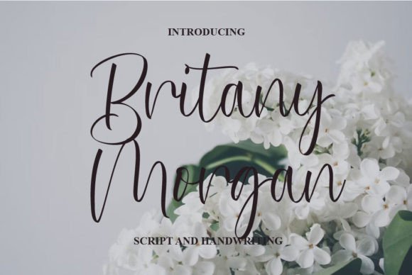 Britany Morgan Font - Featured Image
