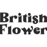 British Flower Font - Featured Image