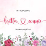 Britta Connie Font - Featured Image