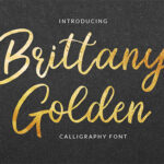 Brittany Golden Font - Featured Image