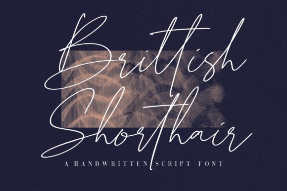 Brittish Shorthair Font - Featured Image