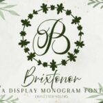 Brixtonor Monogram Font - Featured Image