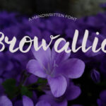 Browallia Font - Featured Image