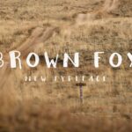 Brown Fox Font - Featured Image