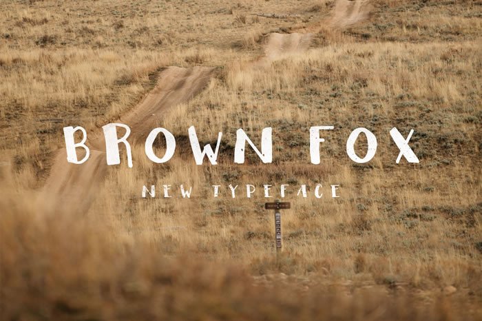 Brown Fox Font - Featured Image