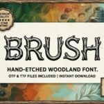Brush Font - Featured Image