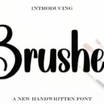 Brushes Font - Featured Image