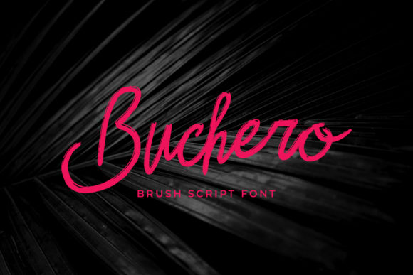 Buchero Font - Featured Image
