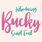 Bucky Font - Featured Image