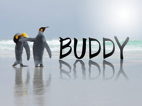 Buddy Font - Featured Image