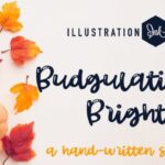 Budgulation Font - Featured Image