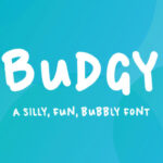Budgy Font - Featured Image