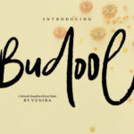 Budool Font - Featured Image
