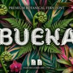 Buena Font - Featured Image