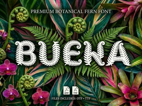 Buena Font - Featured Image