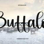Buffalo Font - Featured Image