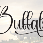 Buffalo Font - Featured Image