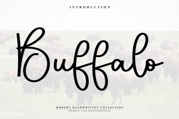 Buffalo Font - Featured Image