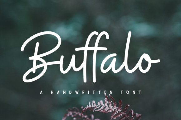 Buffalo Font - Featured Image